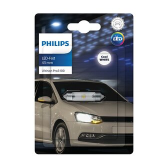 Philips Festoon SV8.5 43mm Cold white 6000K 12V